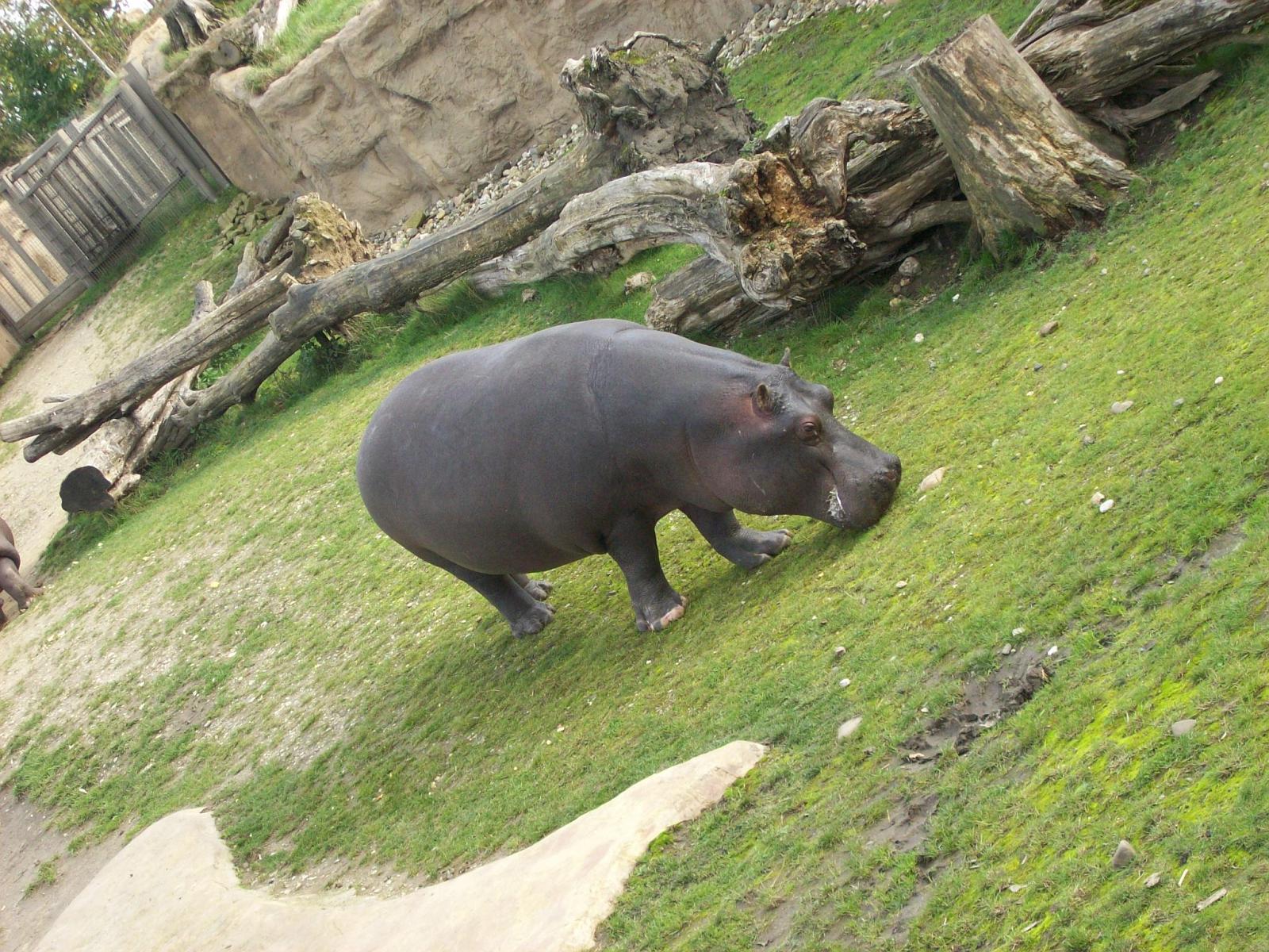Zoom 18.10.2008-183.jpg